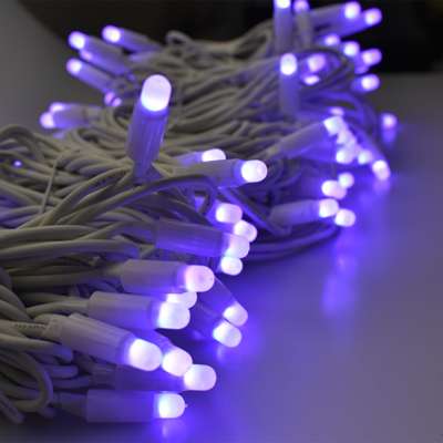 new product Hot selling LED color changing decoration lights and string lights with remote control