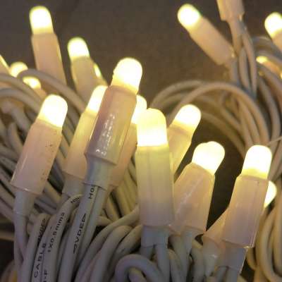 24V Non-polarized 100LED 50*2 String Lights with Rubber Cable